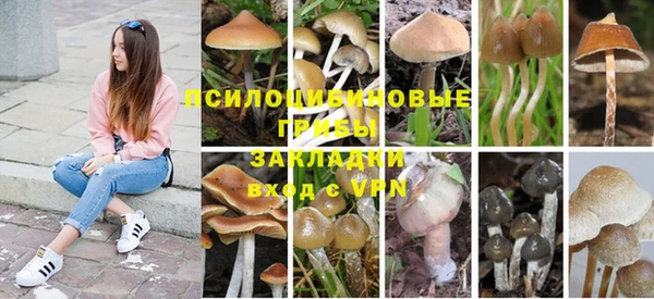 мяу мяу кристалл Козловка