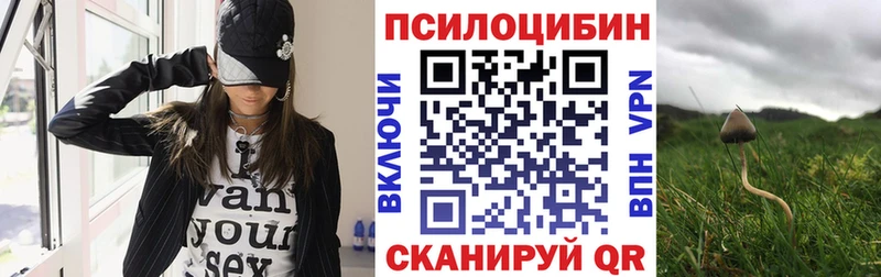 Псилоцибиновые грибы GOLDEN TEACHER  Купить закладки  Сычёвка 